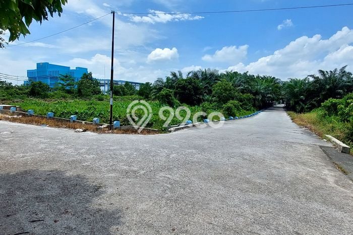 Jarang Ada! Tanah di Payung Sekaki Punya Luas 880m2 SHM Jarang Ada! Tanah di Payung Sekaki Punya Luas 880m2 SHM
