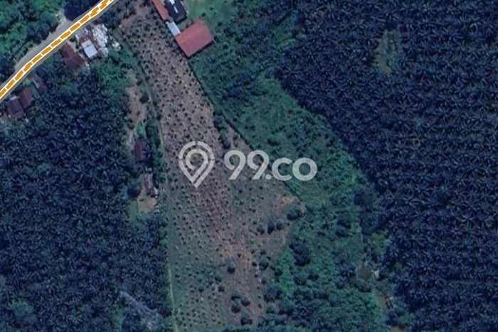 Jarang Ada! Tanah di Rumbai Punya Luas 15000m2 - Jarang Ada! Tanah di Rumbai Punya Luas 15000m2 -