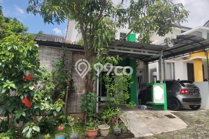 Rumah Luas Asri 3 KT Siap Pakai di Sambiroto Semarang Rumah Luas Asri 3 KT Siap Pakai di Sambiroto Semarang
