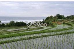 Untuk Dijual Tanah di Tabanan, Luas 4070m2 SHM Untuk Dijual Tanah di Tabanan, Luas 4070m2 SHM