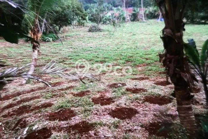 Kavling Tanah di Nagrak Dijual Luas 4700m2 Legalitas SHM Kavling Tanah di Nagrak Dijual Luas 4700m2 Legalitas SHM