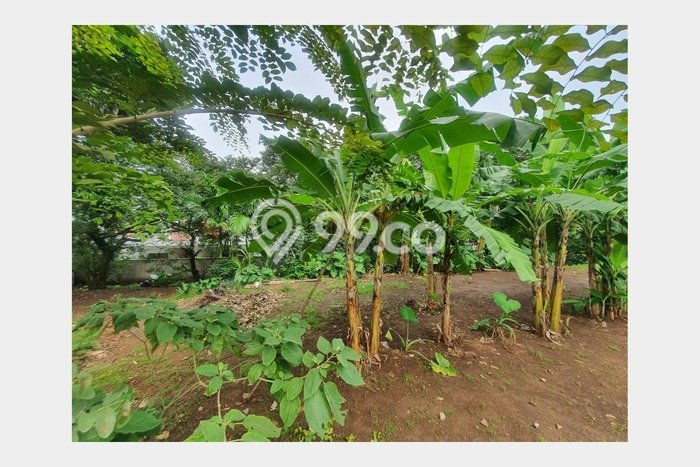 Tanah Kavling Dijual di Depok dengan Spesifikasi 2600m2 Tanah Kavling Dijual di Depok dengan Spesifikasi 2600m2