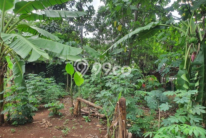 Lahan Investasi Lokasi Pancoran Mas Depok SHM Lahan Investasi Lokasi Pancoran Mas Depok SHM