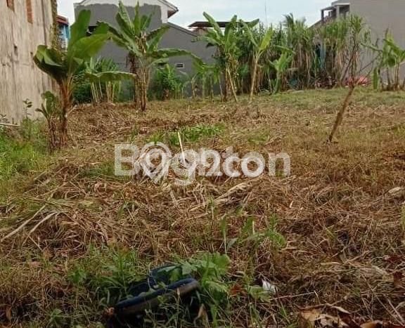 Lahan Strategis di Sungai Kunjang Dijual dengan Luas 1229m2 Lahan Strategis di Sungai Kunjang Dijual dengan Luas 1229m2