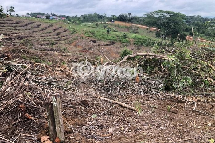 Tanah Dijual Lokasi Tenggarong, Kutai Kartanegara dengan Luas Tanah 13000m2 dan Status SHM Tanah Dijual Lokasi Tenggarong, Kutai Kartanegara dengan Luas Tanah 13000m2 dan Status SHM