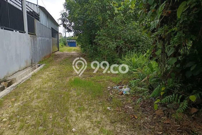 Tanah di Sambutan, Samarinda Luas 200m2 Dijual Segera Tanah di Sambutan, Samarinda Luas 200m2 Dijual Segera
