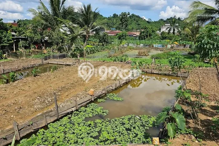 Tanah untuk Dijual Lokasi Sungai Kunjang, Samarinda Luas 9595m2 SHM Tanah untuk Dijual Lokasi Sungai Kunjang, Samarinda Luas 9595m2 SHM