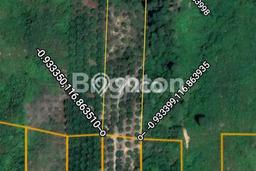 Kavling Tanah di Sepaku Dijual Luas 10000m2 Legalitas SHM Kavling Tanah di Sepaku Dijual Luas 10000m2 Legalitas SHM
