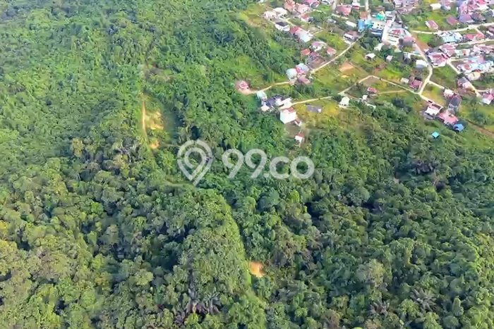Kavling Tanah Dijual di Samarinda Ulu Samarinda Spesifikasi 250000m2 Kavling Tanah Dijual di Samarinda Ulu Samarinda Spesifikasi 250000m2