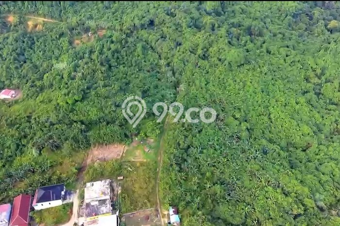 Kavling Tanah Dijual di Samarinda Ulu Samarinda Spesifikasi 250000m2 Kavling Tanah Dijual di Samarinda Ulu Samarinda Spesifikasi 250000m2