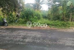 Tanah Investasi Dijual di Gianyar Punya Luas 244m2 Tanah Investasi Dijual di Gianyar Punya Luas 244m2