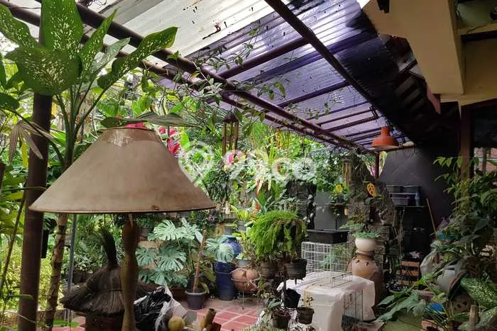 Dijual Hunian Mewah dengan Fasilitas Sekitar Lengkap di Kebayoran Baru, Jakarta Selatan Dijual Hunian Mewah dengan Fasilitas Sekitar Lengkap di Kebayoran Baru, Jakarta Selatan