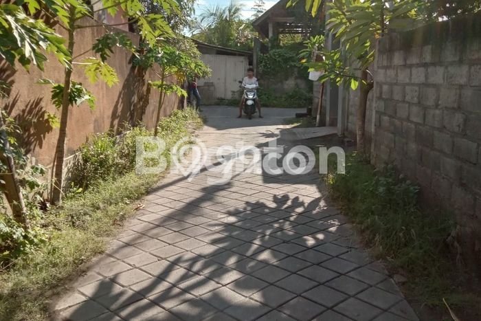 Hunian Nyaman Asri 3 KT Siap Pakai di Ketewel Gianyar Hunian Nyaman Asri 3 KT Siap Pakai di Ketewel Gianyar