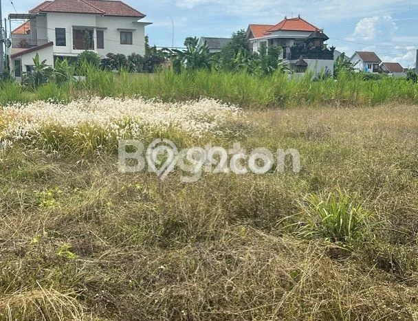Disewakan Segera Tanah di Kesiman Luas 2400m2 Area Potensial Disewakan Segera Tanah di Kesiman Luas 2400m2 Area Potensial
