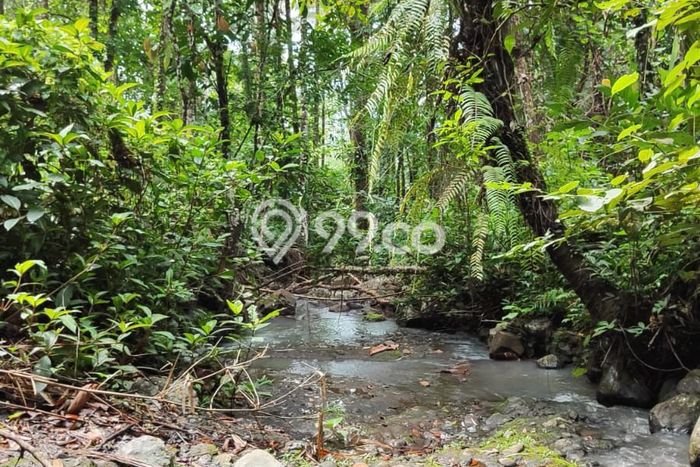Lahan Dijual Lokasi Penebel, Tabanan dengan Luas Tanah 15300m2 dan Status SHM Lahan Dijual Lokasi Penebel, Tabanan dengan Luas Tanah 15300m2 dan Status SHM