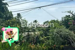 Disewakan Segera Tanah di Kesiman Luas 2400m2 Area Potensial Disewakan Segera Tanah di Kesiman Luas 2400m2 Area Potensial