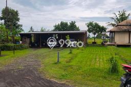 Tanah Strategis Dijual di Tabanan Tabanan 500m2 Tanah Strategis Dijual di Tabanan Tabanan 500m2
