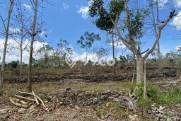 Dijual Tanah 4000m2 di Nusa Penida, Klungkung Dijual Tanah 4000m2 di Nusa Penida, Klungkung