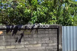 Tanah Dijual Lokasi Strategis di Denpasar dengan Luas 100m2 Tanah Dijual Lokasi Strategis di Denpasar dengan Luas 100m2