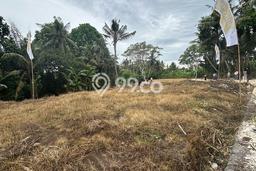 Siap Disewakan Tanah di Saba Luas 446m2 Area Potensial Siap Disewakan Tanah di Saba Luas 446m2 Area Potensial