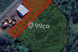 Tanah di Kintamani, Bangli Luas 3250m2 Dijual Segera Tanah di Kintamani, Bangli Luas 3250m2 Dijual Segera