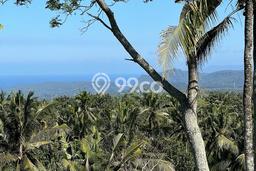 Tanah di Abang, Karangasem Luas 15900m2 Dijual Segera Tanah di Abang, Karangasem Luas 15900m2 Dijual Segera