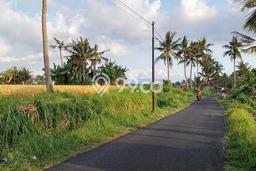 Kavling Tanah di Gianyar Dijual Luas 3050m2 Legalitas SHM Kavling Tanah di Gianyar Dijual Luas 3050m2 Legalitas SHM