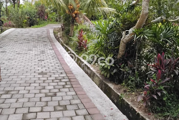 Lahan Kosong Dijual di Tabanan dengan Area 4000m2 Lahan Kosong Dijual di Tabanan dengan Area 4000m2