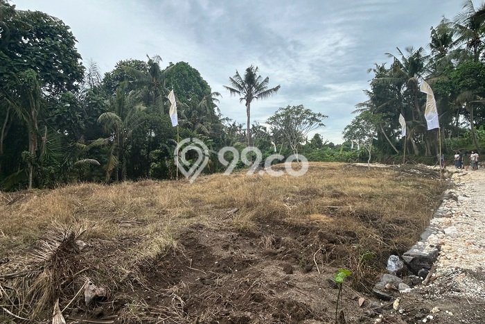 Siap Disewakan Tanah di Saba Luas 446m2 Area Potensial Siap Disewakan Tanah di Saba Luas 446m2 Area Potensial