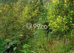 Lahan Dijual Lokasi Sukasada, Buleleng dengan Luas Tanah 65200m2 dan Status SHM Lahan Dijual Lokasi Sukasada, Buleleng dengan Luas Tanah 65200m2 dan Status SHM