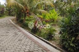 Lahan Kosong Dijual di Tabanan dengan Area 4000m2 Lahan Kosong Dijual di Tabanan dengan Area 4000m2
