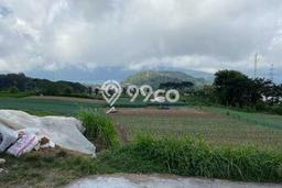 Tanah Siap Bangun Dijual di Tabanan Punya Luas 4900m2 Tanah Siap Bangun Dijual di Tabanan Punya Luas 4900m2