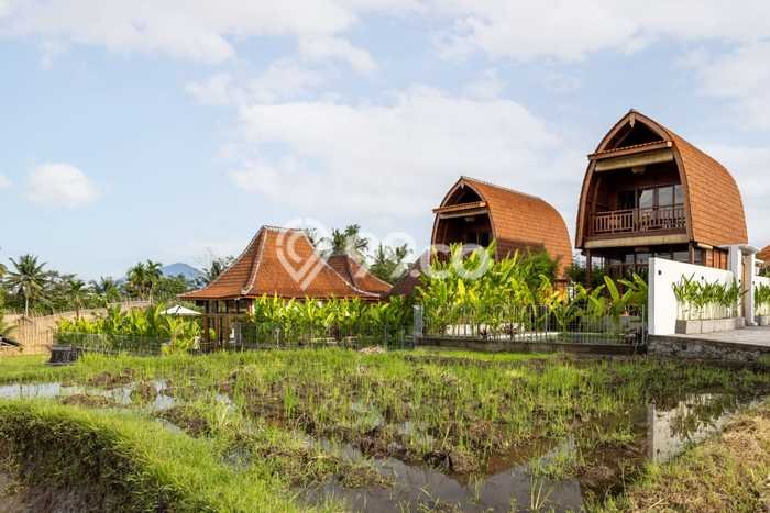 Vila Kawasan Ubud, Area 0m2m², Disewakan, Kawasan Asri Vila Kawasan Ubud, Area 0m2m², Disewakan, Kawasan Asri