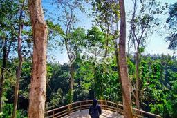 Tanah Kavling Dijual di Badung dengan Spesifikasi 4200m2 Tanah Kavling Dijual di Badung dengan Spesifikasi 4200m2