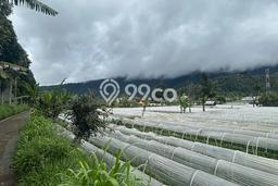 Kavling Tanah untuk Dijual di Bedugul, Tabanan, Luas 700m2 Kavling Tanah untuk Dijual di Bedugul, Tabanan, Luas 700m2