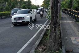 Tanah Kavling Dijual di Badung dengan Spesifikasi 5000m2 Tanah Kavling Dijual di Badung dengan Spesifikasi 5000m2