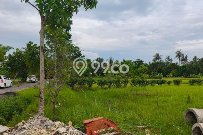 Tanah Strategis Dijual di Tabanan Tabanan 500m2 Tanah Strategis Dijual di Tabanan Tabanan 500m2