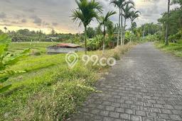 Tanah Strategis Dijual di Kerambitan Tabanan 5472m2 Tanah Strategis Dijual di Kerambitan Tabanan 5472m2
