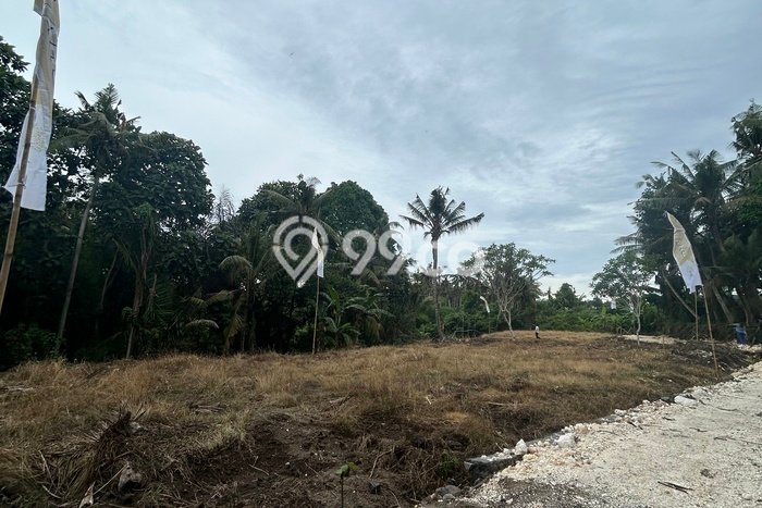 Siap Disewakan Tanah di Saba Luas 446m2 Area Potensial Siap Disewakan Tanah di Saba Luas 446m2 Area Potensial