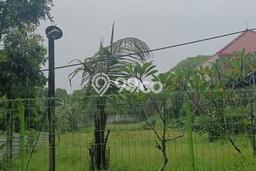 Kavling Tanah untuk Dijual di Saba, Gianyar, Luas 920m2 Kavling Tanah untuk Dijual di Saba, Gianyar, Luas 920m2