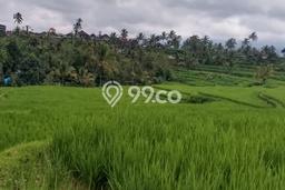 Lahan Strategis di Petang Dijual dengan Luas 6010m2 Lahan Strategis di Petang Dijual dengan Luas 6010m2
