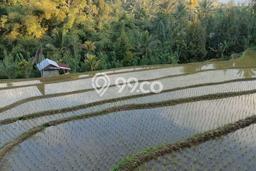 Dijual Tanah Lokasi Batungsel, Tabanan Seluas 6650m2 Dijual Tanah Lokasi Batungsel, Tabanan Seluas 6650m2