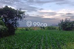 Dijual Tanah di Denpasar, Luas 2100m2 SHM Dijual Tanah di Denpasar, Luas 2100m2 SHM