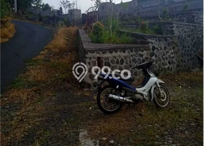 Lahan Dijual Lokasi Sukasada, Buleleng dengan Luas Tanah 65200m2 dan Status SHM Lahan Dijual Lokasi Sukasada, Buleleng dengan Luas Tanah 65200m2 dan Status SHM