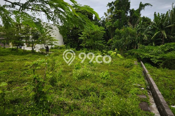 Tanah Investasi Dijual di Tabanan Punya Luas 450m2 Tanah Investasi Dijual di Tabanan Punya Luas 450m2