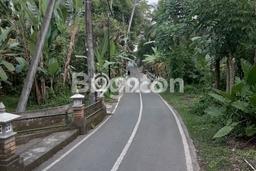 Kavling Tanah Dijual di Ubud Gianyar Spesifikasi 1050m2 Kavling Tanah Dijual di Ubud Gianyar Spesifikasi 1050m2
