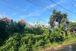 Tanah Dijual Lokasi Renon, Denpasar Luas 5000m2 Legalitas Aman Tanah Dijual Lokasi Renon, Denpasar Luas 5000m2 Legalitas Aman
