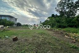 Tanah Disewakan Lokasi Pandakgede Tabanan Luas 770m2 Tanah Disewakan Lokasi Pandakgede Tabanan Luas 770m2