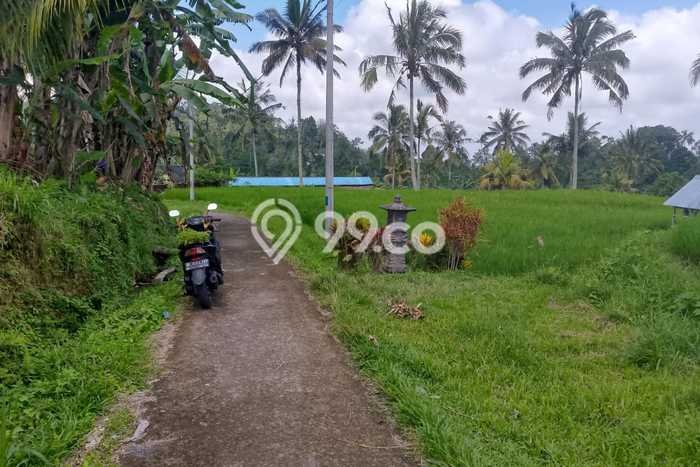 Lahan Strategis di Petang Dijual dengan Luas 6010m2 Lahan Strategis di Petang Dijual dengan Luas 6010m2