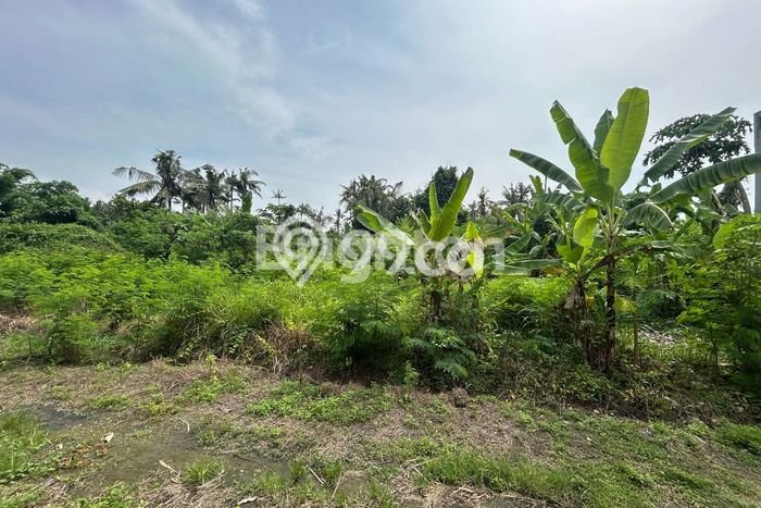 Tanah Kavling Dijual di Gianyar dengan Spesifikasi 1900m2 Tanah Kavling Dijual di Gianyar dengan Spesifikasi 1900m2